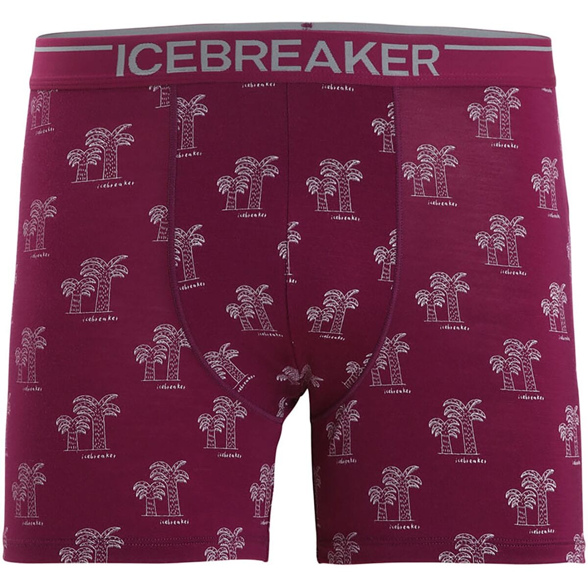 Icebreaker Anatomica Boxers - Men's - Men