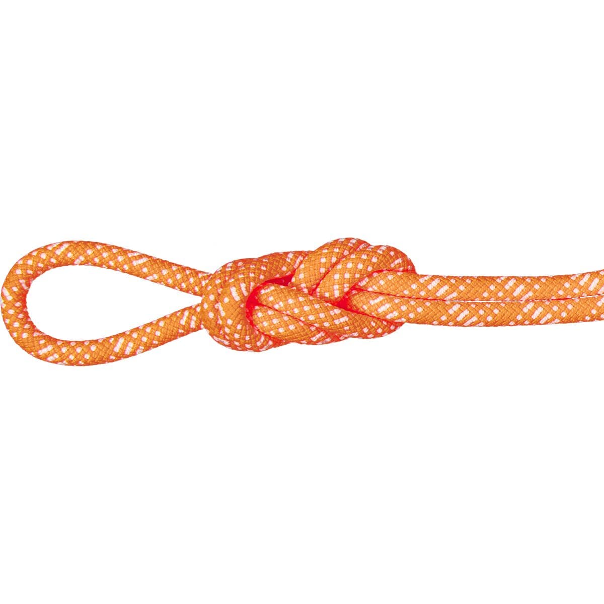 Edelrid Boa Gym Climbing Rope - 9.8mm - Climb