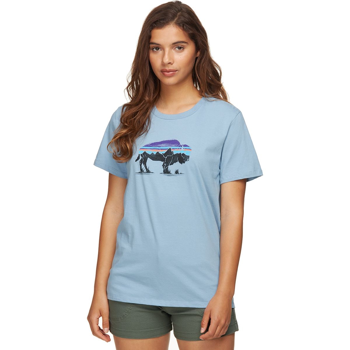 Patagonia Men's Fitz Roy Fish Organic Cotton T-Shirt