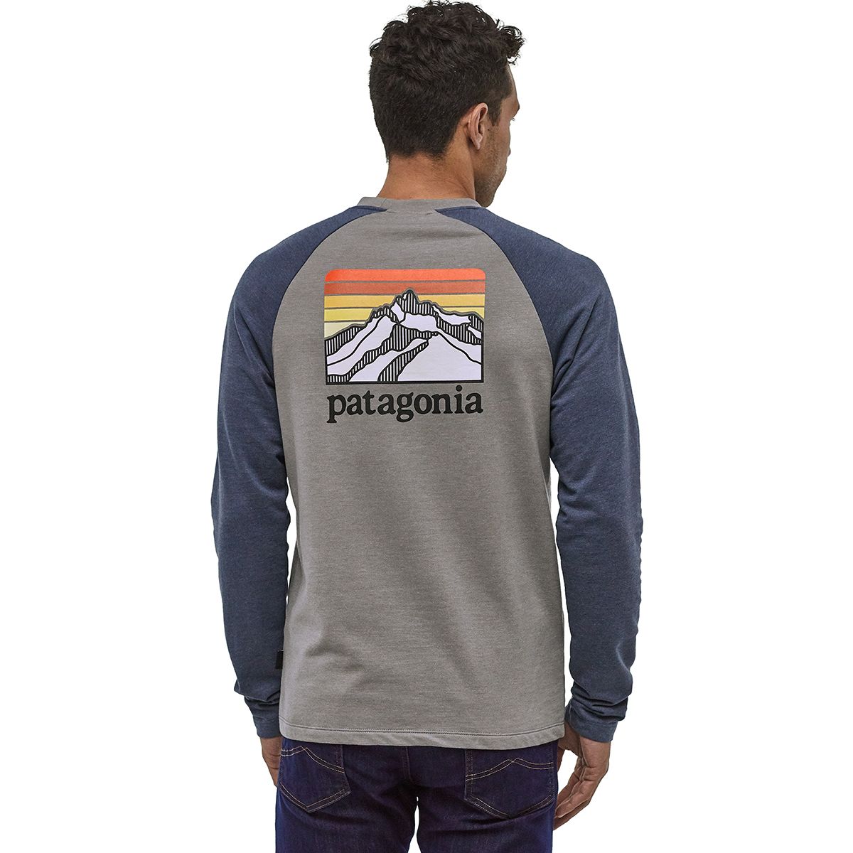 Patagonia men's line logo 2024 ridge lightweight crew sweatshirt