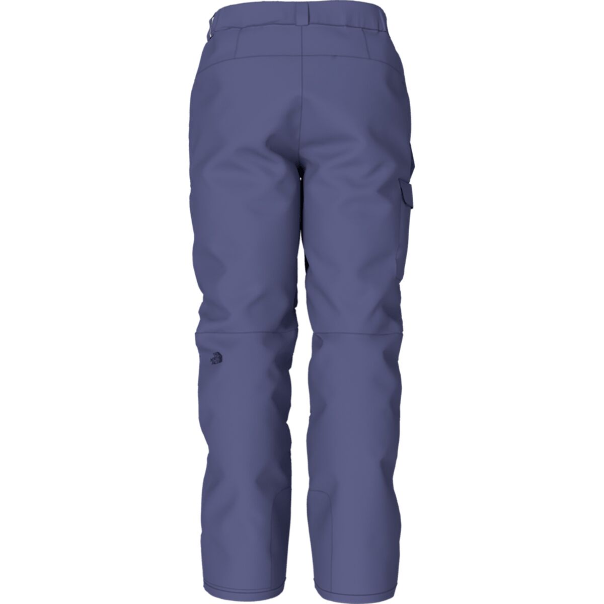 Mens The North Face Freedom Ski Snowboard Shell Waterproof Snow Pants Harbr  Blue