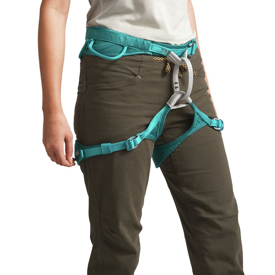 north face north dome pants