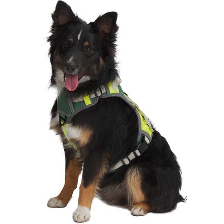 Petco harnesses clearance