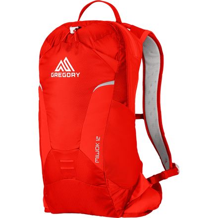 Gregory miwok outlet 24l running backpack