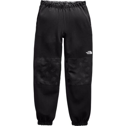 mens graphic collection pant north face